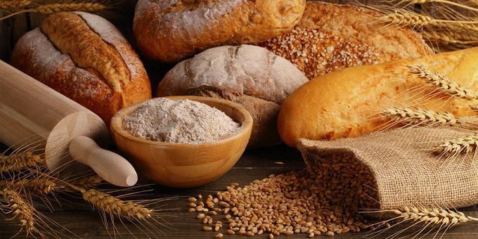 Дрожжевые грибы: цель и применение при выпечке хлеба и хлебобулочных изделий