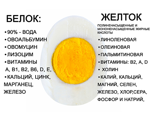 Полезные свойства яиц в выпечке: почему они необходимы для вашего здоровья