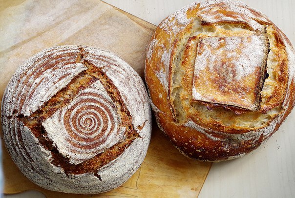 Виды хлеба по способу выпечки: полный обзор и рецепты